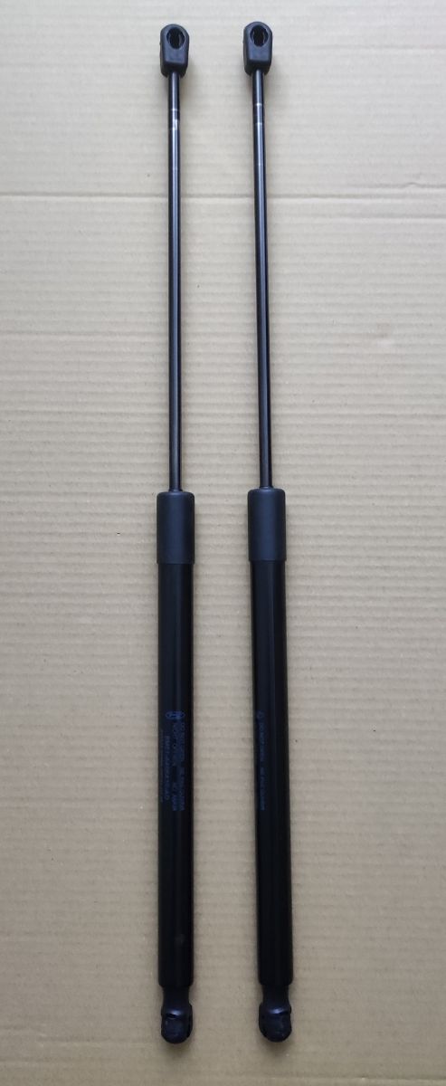 Ammortizzatori portellone Ford Focus Mk3