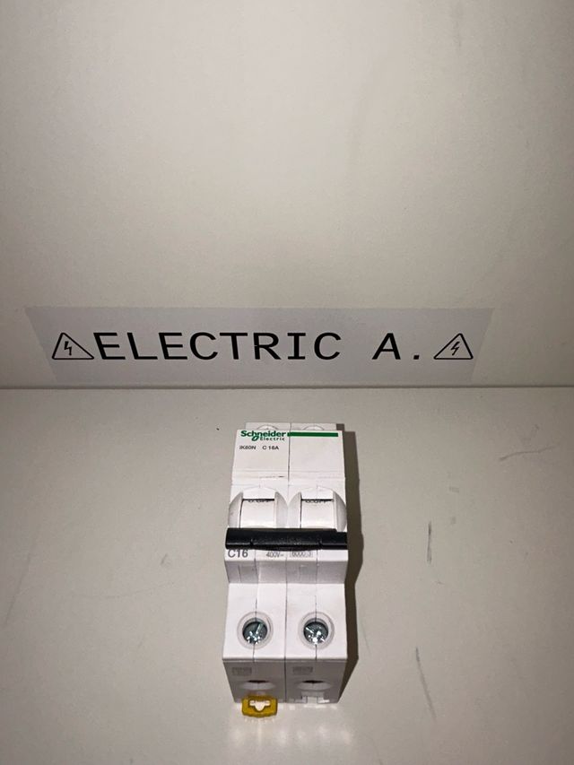 Termico Schneider 16A