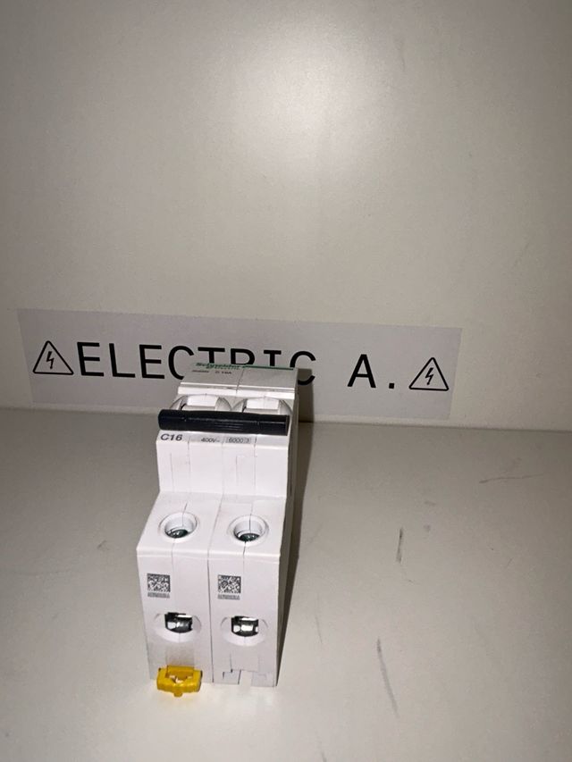 Termico Schneider 16A