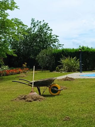 SERVICIO DE JARDINERÍA GRANDIFLOR