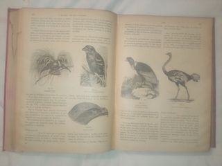 Historia Natural ODON DE BUEN tomos uno y dos.