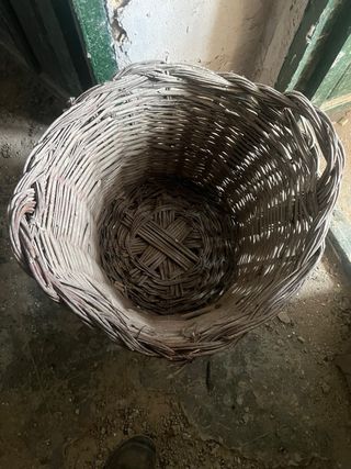 Cesta mimbre antigua