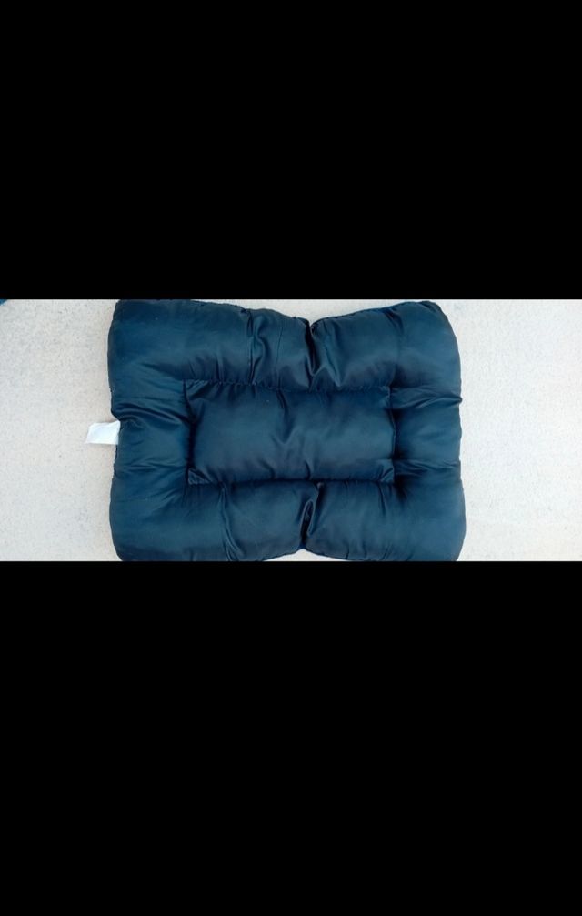 Cama perro azul.