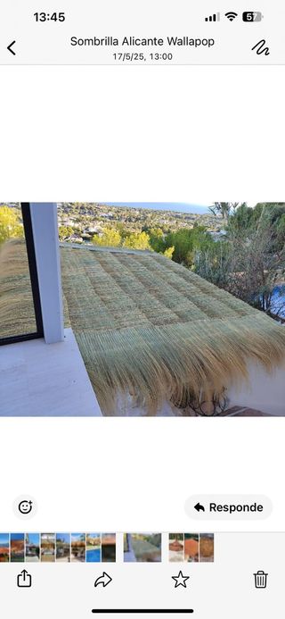 Sombrillas de carril verzo mimbre