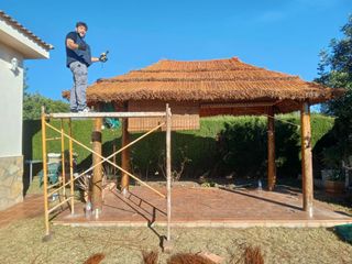 Sombrillas de carril verzo mimbre