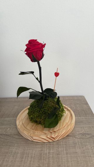 Rosa eterna en cúpula