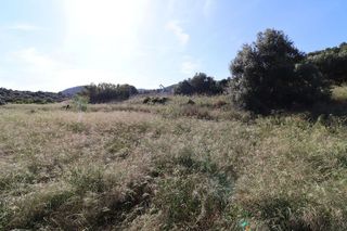 Terreno en venta en Centro en Alcanar