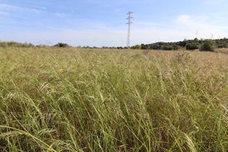 Terreno en venta en Centro en Alcanar