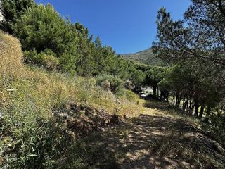 Terreno en venta en Mijas pueblo en Mijas