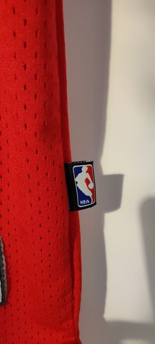 Camiseta Chicago Bulls Michael Jordan Nike