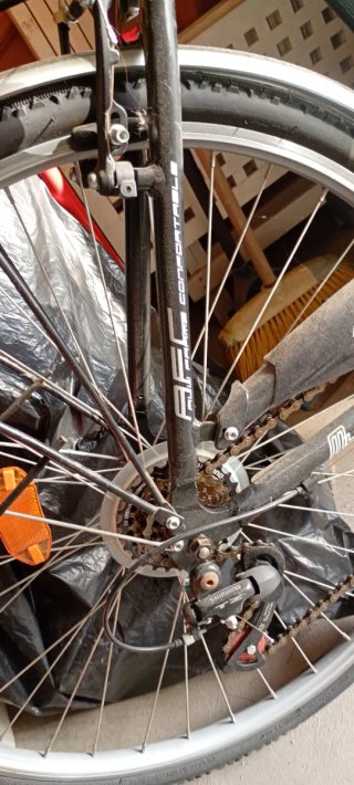 Bicicleta Ferriini Adulto.para recoger. No envio