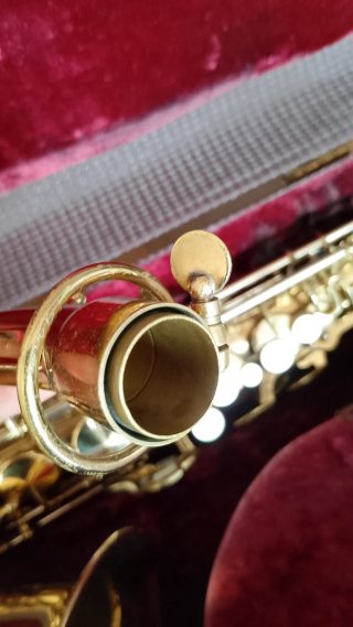 Saxo King Zephyr