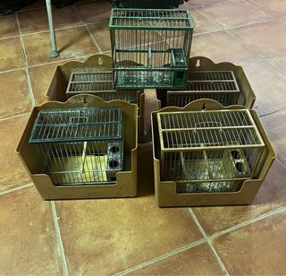 5 Jaulas pájaros - Jilgueros con cajon