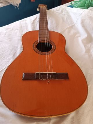 Guitarra española y funda