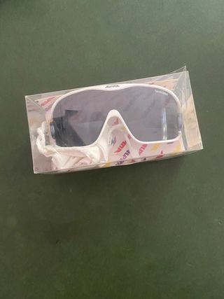 Gafas de sol Alpina vintage – Retro y originales