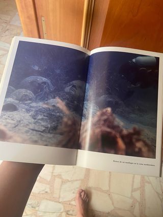 El arqueólogo enamorado