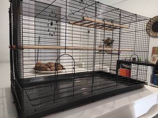 Jaula para pájaros negra usada