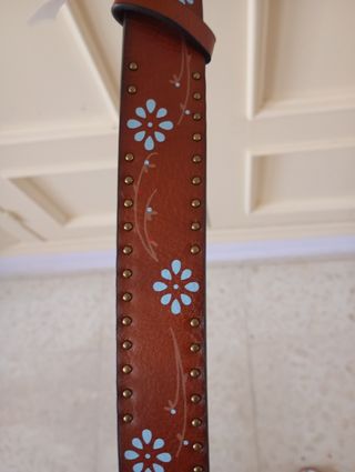 Cinturón marrón hebilla plata