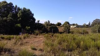 Terreno en Valverde de la Virgen. 