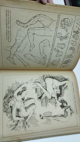 El dibujo de figura, en todo su valor.