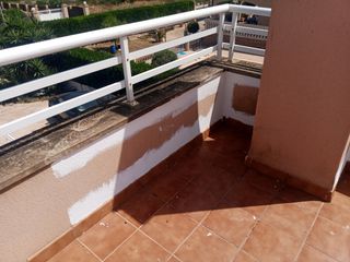 Servicio limpieza: casas y pisos, jardinería etc