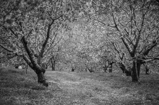 Reportajes fotográficos gratis