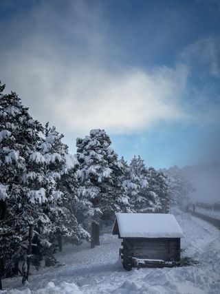 Reportajes fotográficos gratis