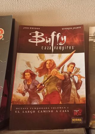 BUFFY CAZAVAMPIROS 8ª TEMPORADA. VOL. 1. EL LAR...