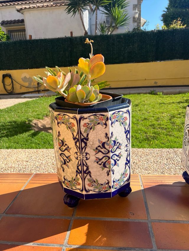 Maceteros cerámicos azules y blancos