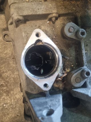 Caja cambios Audi A3 1.9TDI 8L