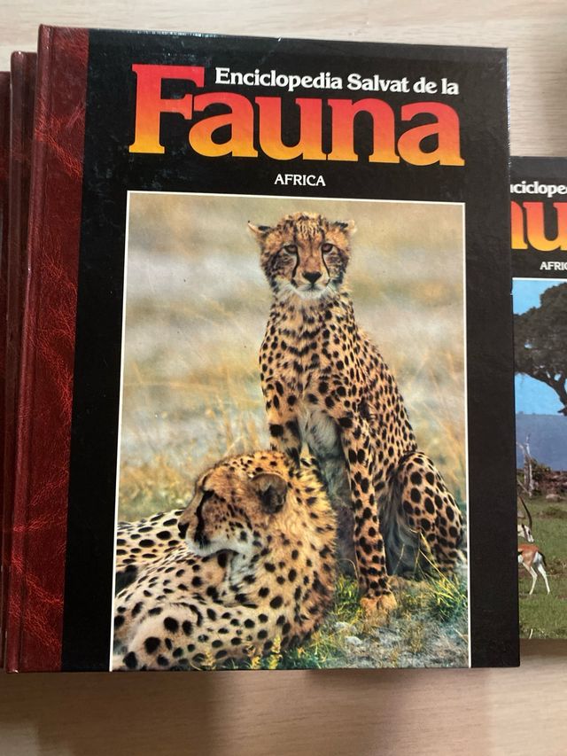 Enciclopedia salvat de la fauna