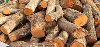 Se vende leña de garrofer y Olivera