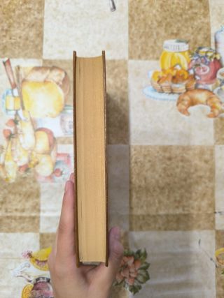 Historia de Mayta de Mario Vargas Llosa