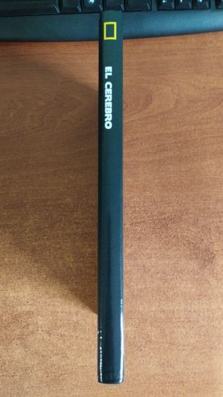 El cerebro Descifrar y potenciar