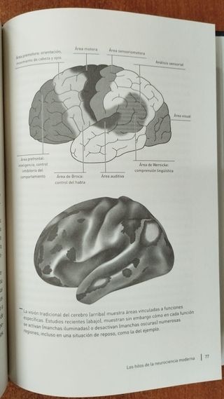 El cerebro Descifrar y potenciar