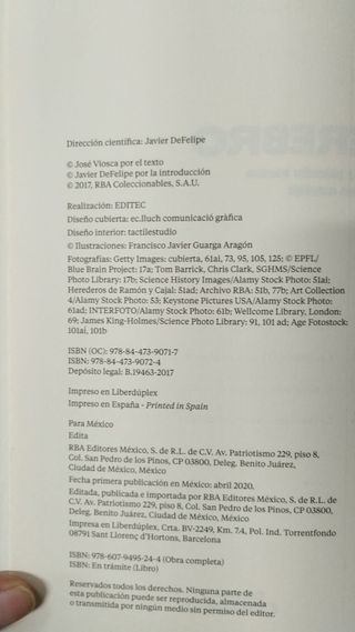 El cerebro Descifrar y potenciar