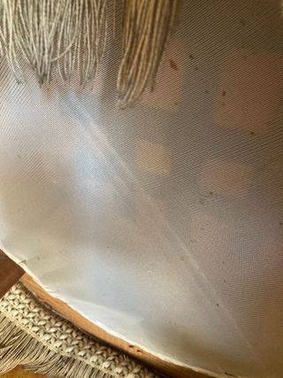 Butaca vintage color visón terciopelo