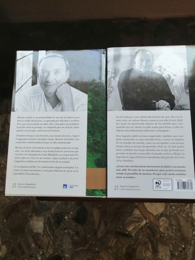 LA BRUMA VERDE LA SOMBRA DE LOS SUEÑOS