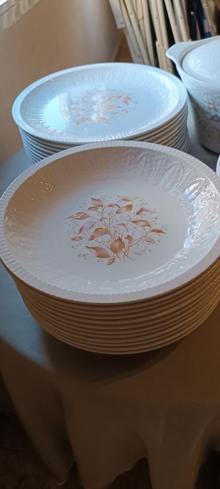 Vajilla porcelana años 70 - 12 comensales