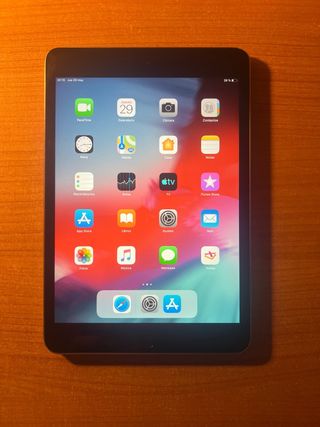 iPad mini 2