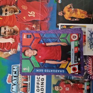 Lote 100 cartas match attax euro 24 crystal purple
