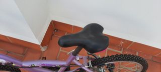 Bicicleta niña 20" usada