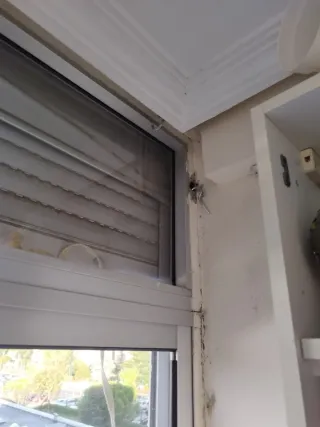 REPARACIÓN DE PERSIANAS / MANITAS VALLADOLID