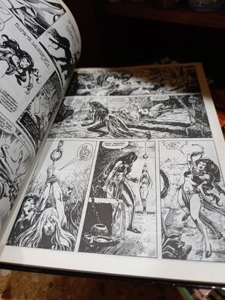 La Espada Salvaje De Conan El Barbaro completa