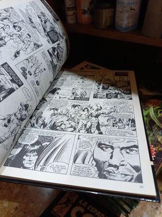 La Espada Salvaje De Conan El Barbaro completa