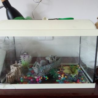 Acuario Pecera 20L