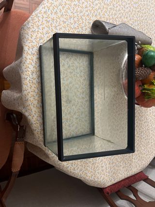 Pecera pequeña, acuario de cristal