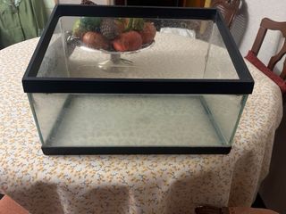 Pecera pequeña, acuario de cristal