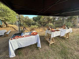 cortador de jamón profesional