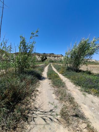 Finca rústica a la venta en cuevas del almanzora